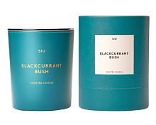Аромасвеча BLACKCURRANT BUSH SIU 240 GR