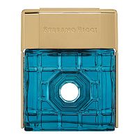 STEFANO RICCI Baku EDP 100 ml - парфюмерная вода 
